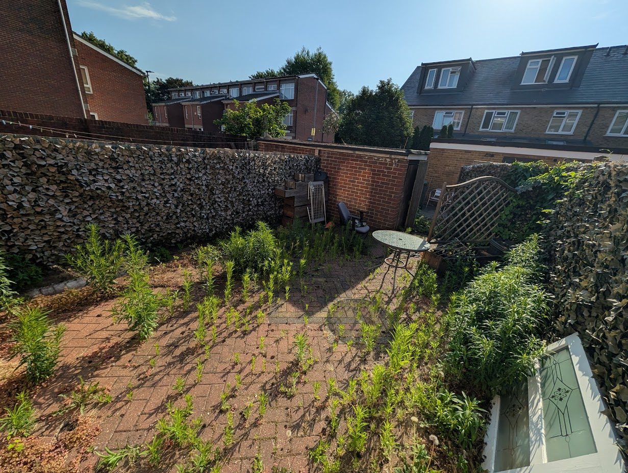 Chipping Ongar before cleaning